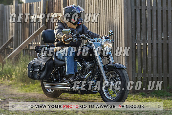 RS2008_11961