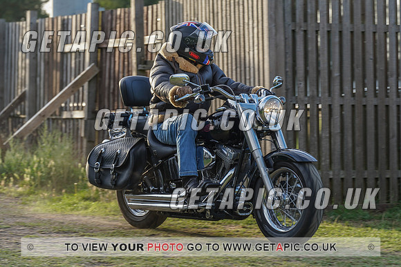 RS2008_11962