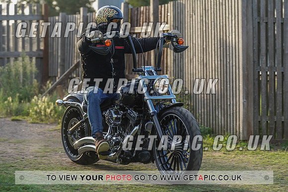 RS2008_11966