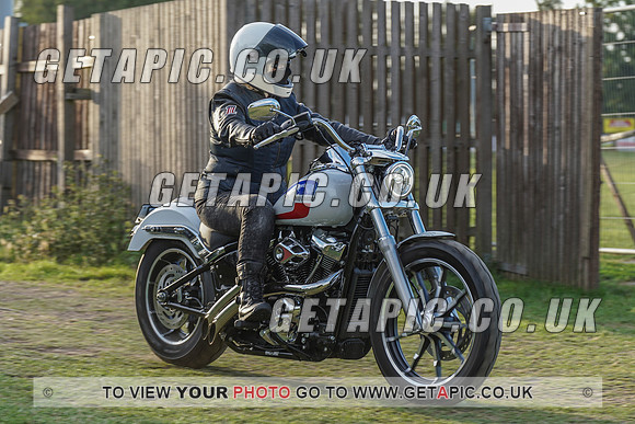 RS2008_11969