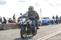 RS2009_10017