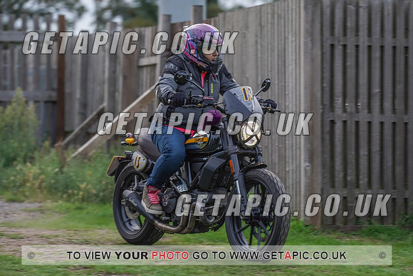RS2009_10125