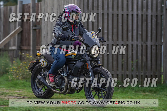 RS2009_10127
