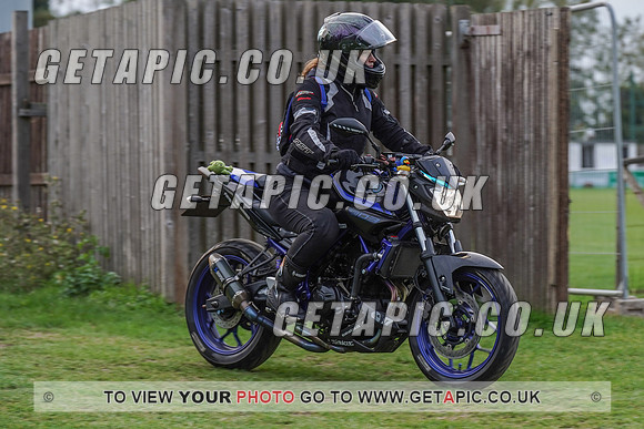 RS2009_10133