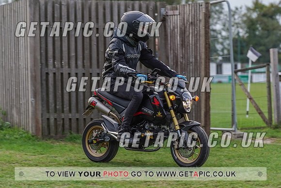 RS2009_10134