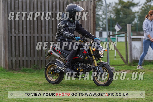 RS2009_10135