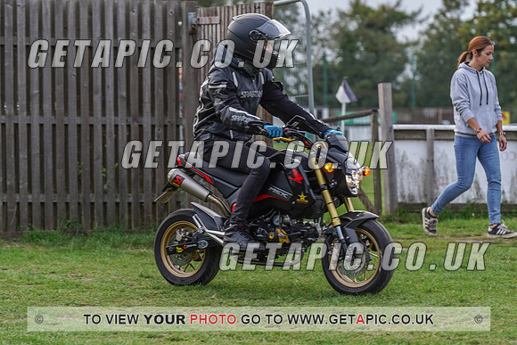 RS2009_10136