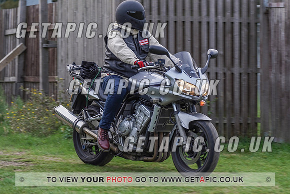RS2009_10141