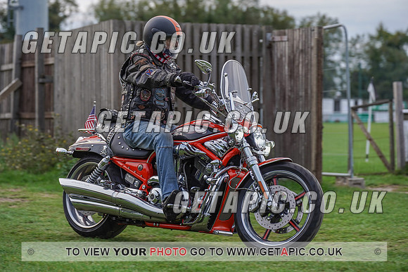 RS2009_10151