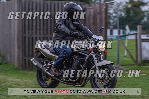 RS2009_10173