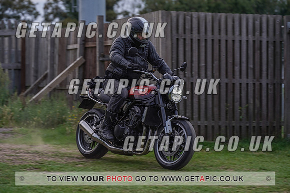 RS2009_10175