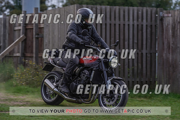 RS2009_10176