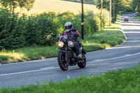 RS2009_10390
