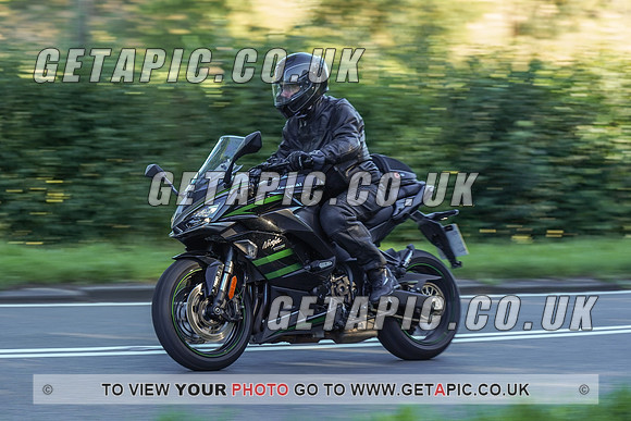 RS2009_10385