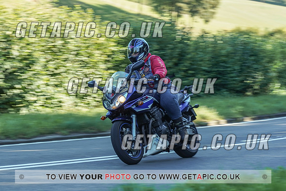 RS2009_10413