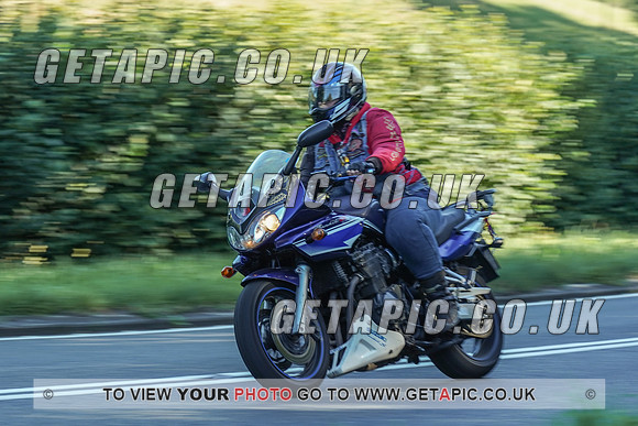 RS2009_10414