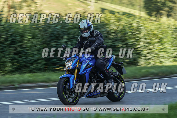 RS2009_10441