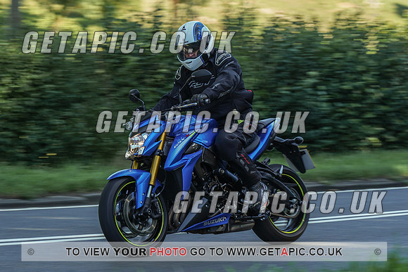 RS2009_10442