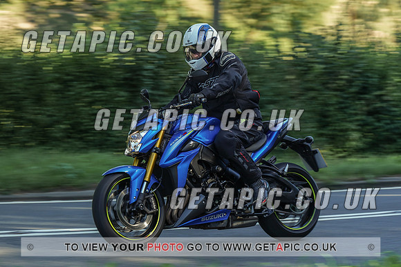 RS2009_10443
