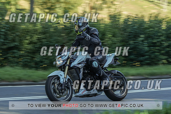 RS2009_10445