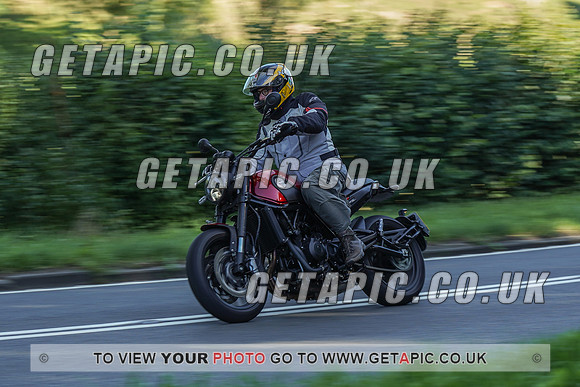 RS2009_10447