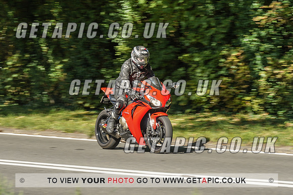 RS2009_10463