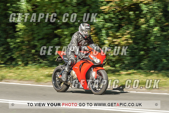 RS2009_10464