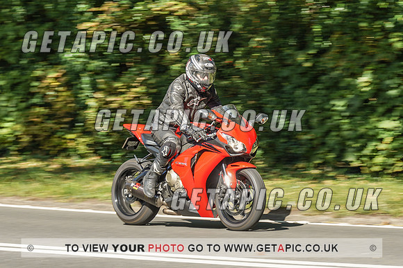 RS2009_10465