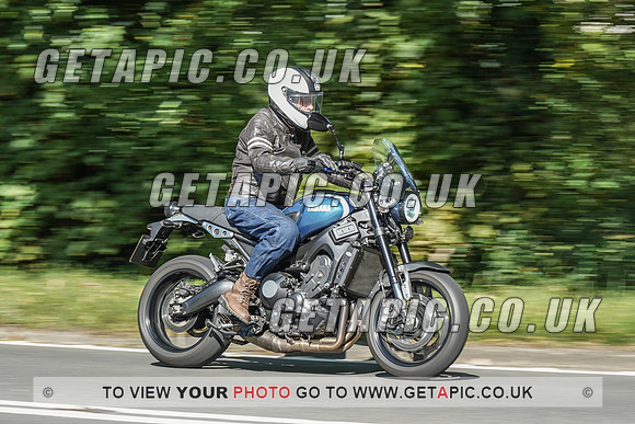 RS2009_10474