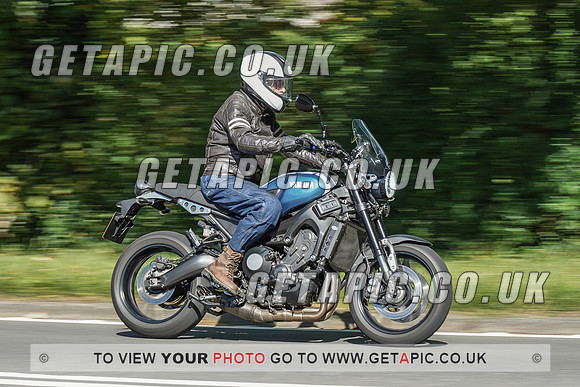RS2009_10475