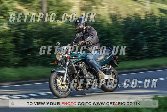 RS2009_10478