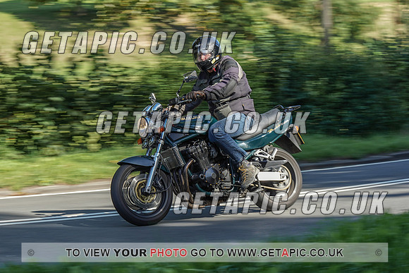 RS2009_10479