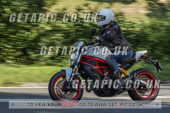 RS2009_10487
