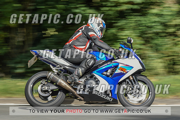RS2009_10496