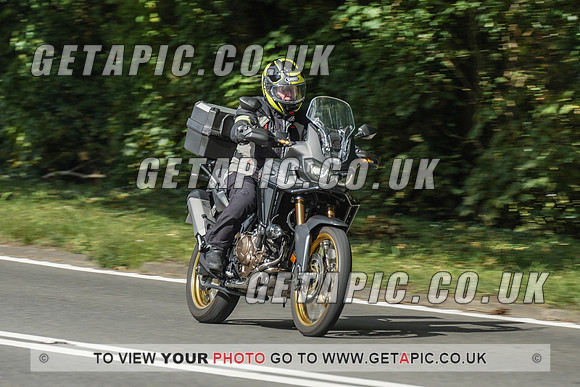 RS2009_10499