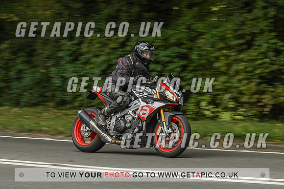 RS2009_10524