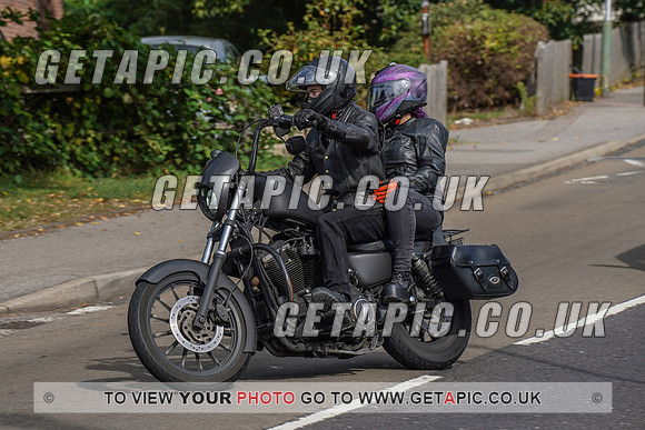 RS2009_11055