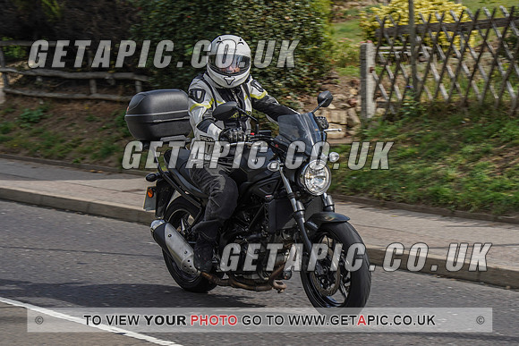 RS2009_11067