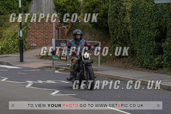 RS2009_11082