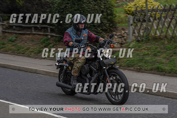 RS2009_11083