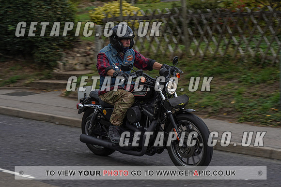 RS2009_11084