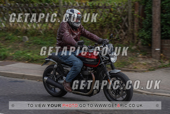 RS2009_11099
