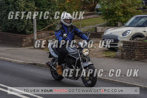 RS2009_11109