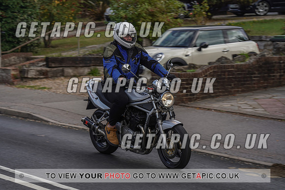 RS2009_11110