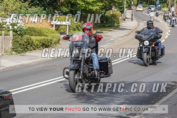 RS2009_11134