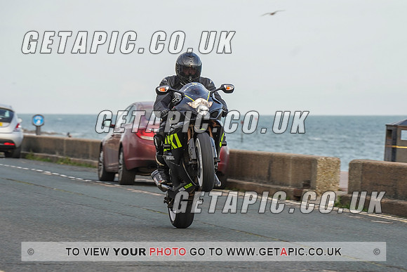 RS2009_11419