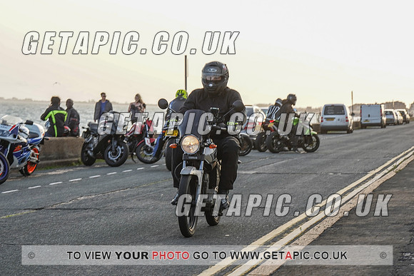 RS2009_11446