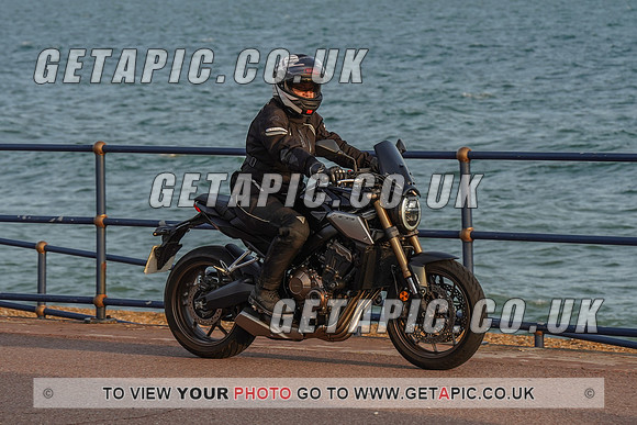RS2009_11449
