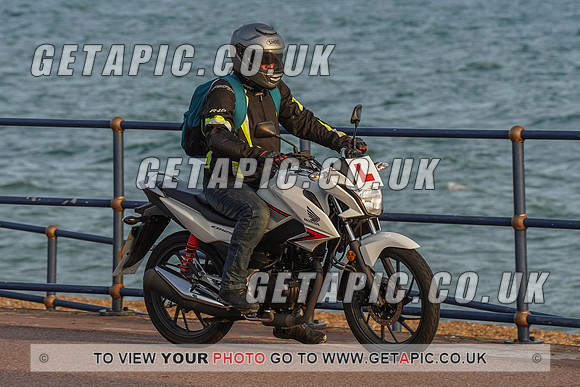 RS2009_11451