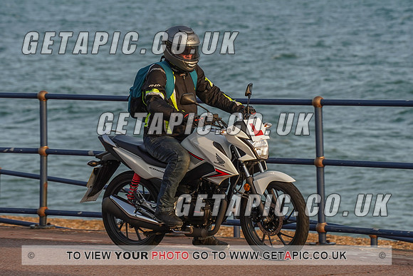 RS2009_11452